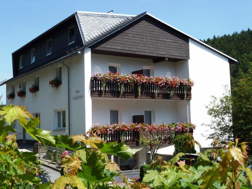 Pension Haus Waldfrieden, Meinecardplus Inklusive Willingen  Exterior photo