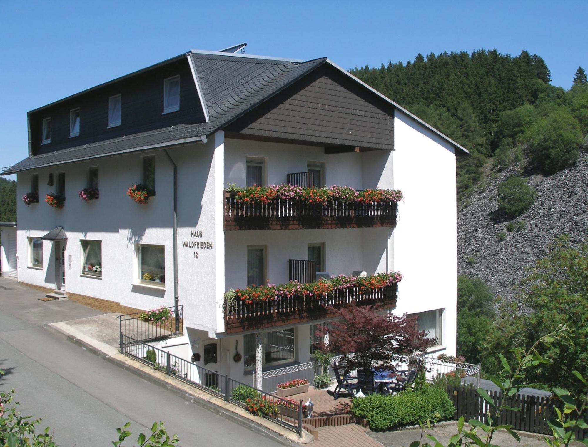 Pension Haus Waldfrieden, Meinecardplus Inklusive Willingen  Exterior photo