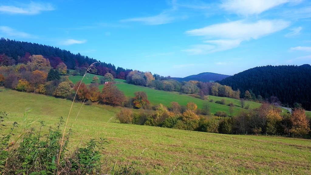 Pension Haus Waldfrieden, Meinecardplus Inklusive Willingen  Exterior photo
