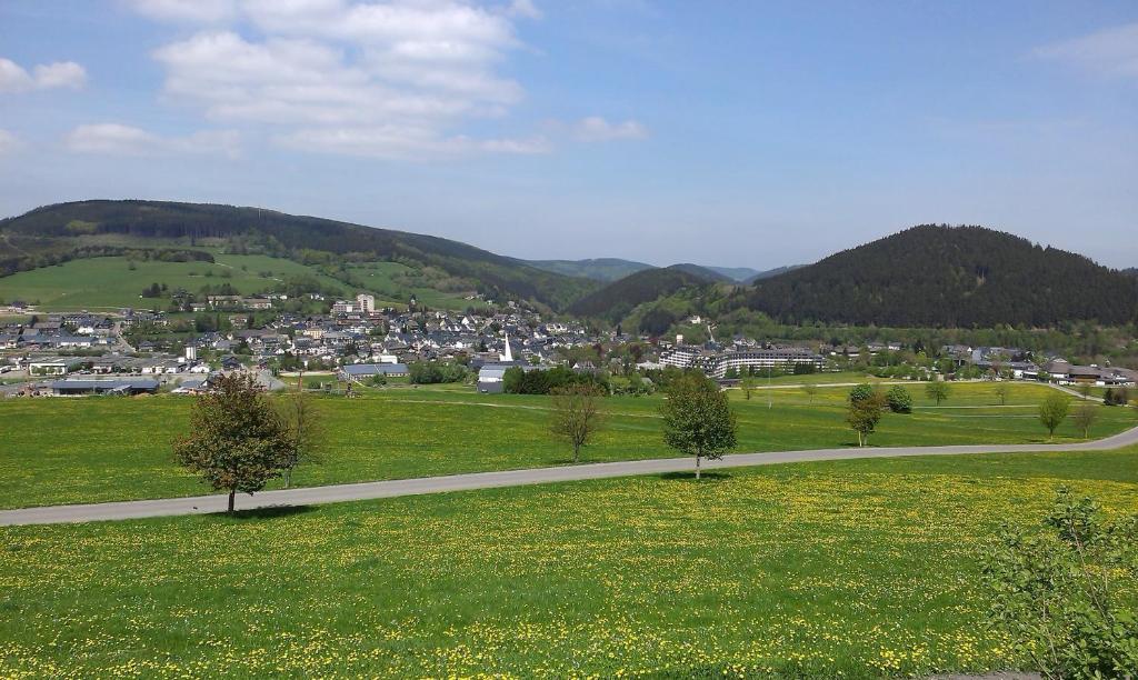 Pension Haus Waldfrieden, Meinecardplus Inklusive Willingen  Exterior photo