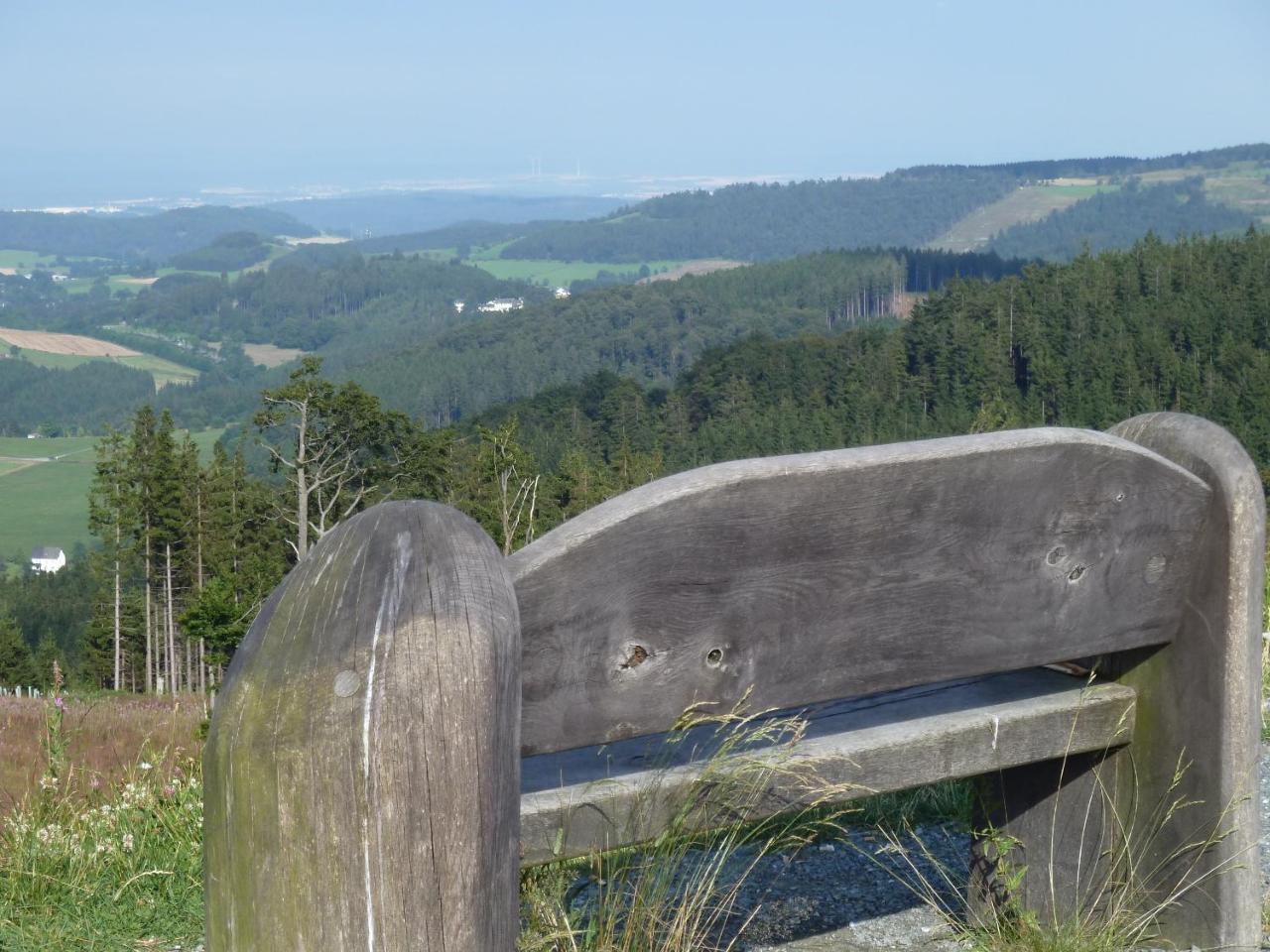Pension Haus Waldfrieden, Meinecardplus Inklusive Willingen  Exterior photo