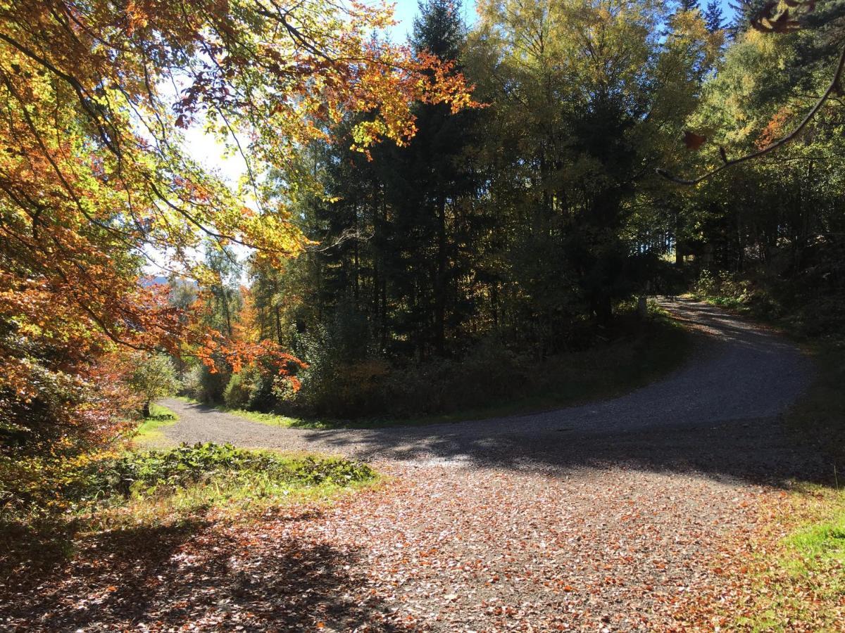 Pension Haus Waldfrieden, Meinecardplus Inklusive Willingen  Exterior photo
